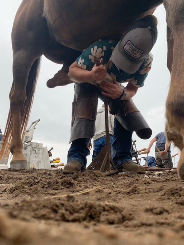 Farrier working a hoof