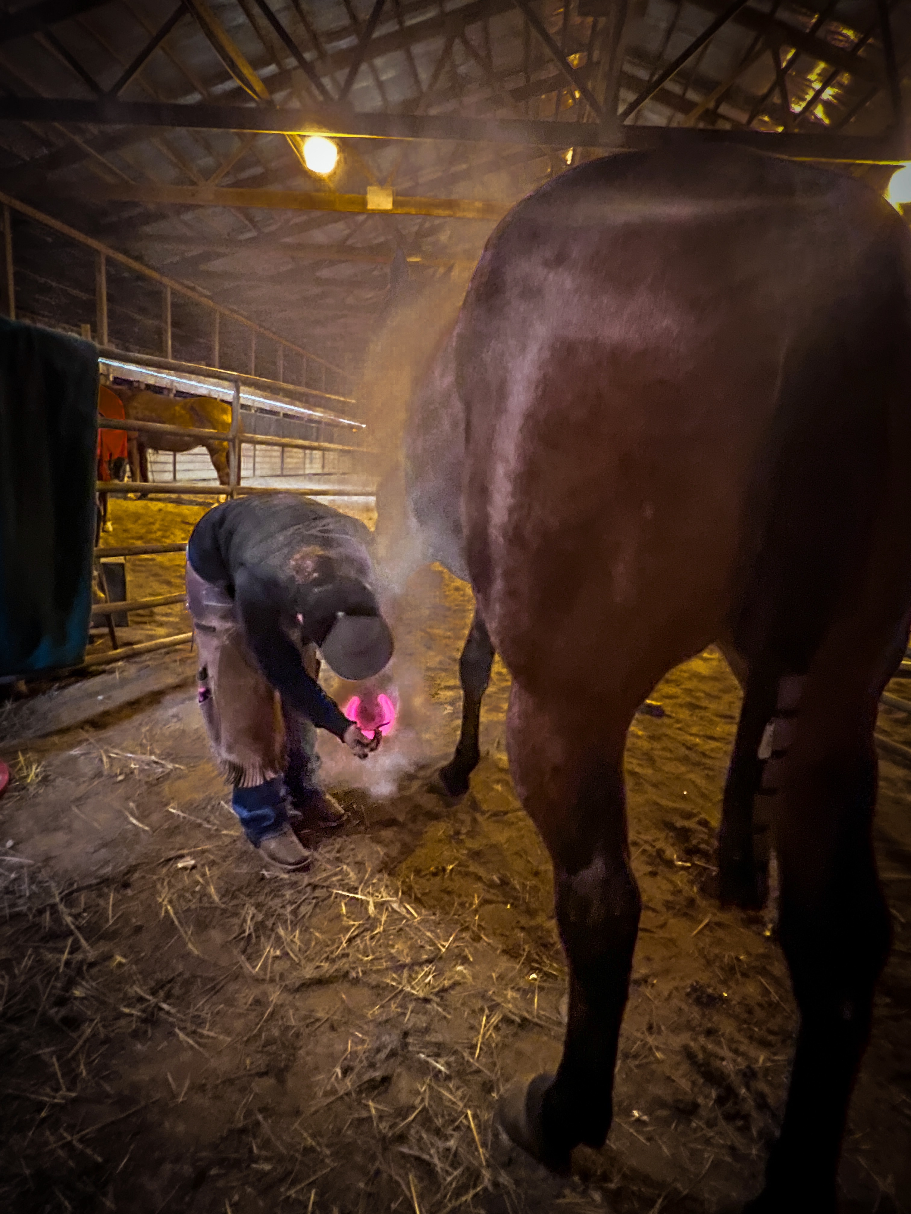 Farrier at work in the barn