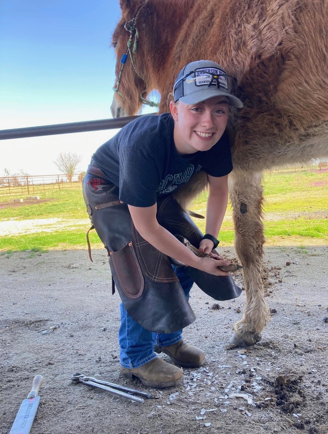 Evin working on a draft horse, smiling